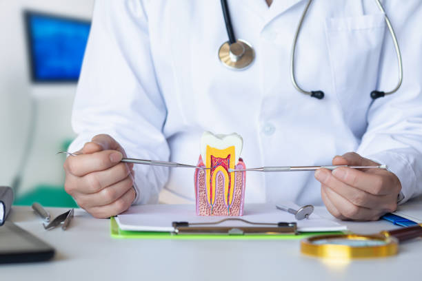 Best Emergency Wisdom Teeth Removal in Williston, ND